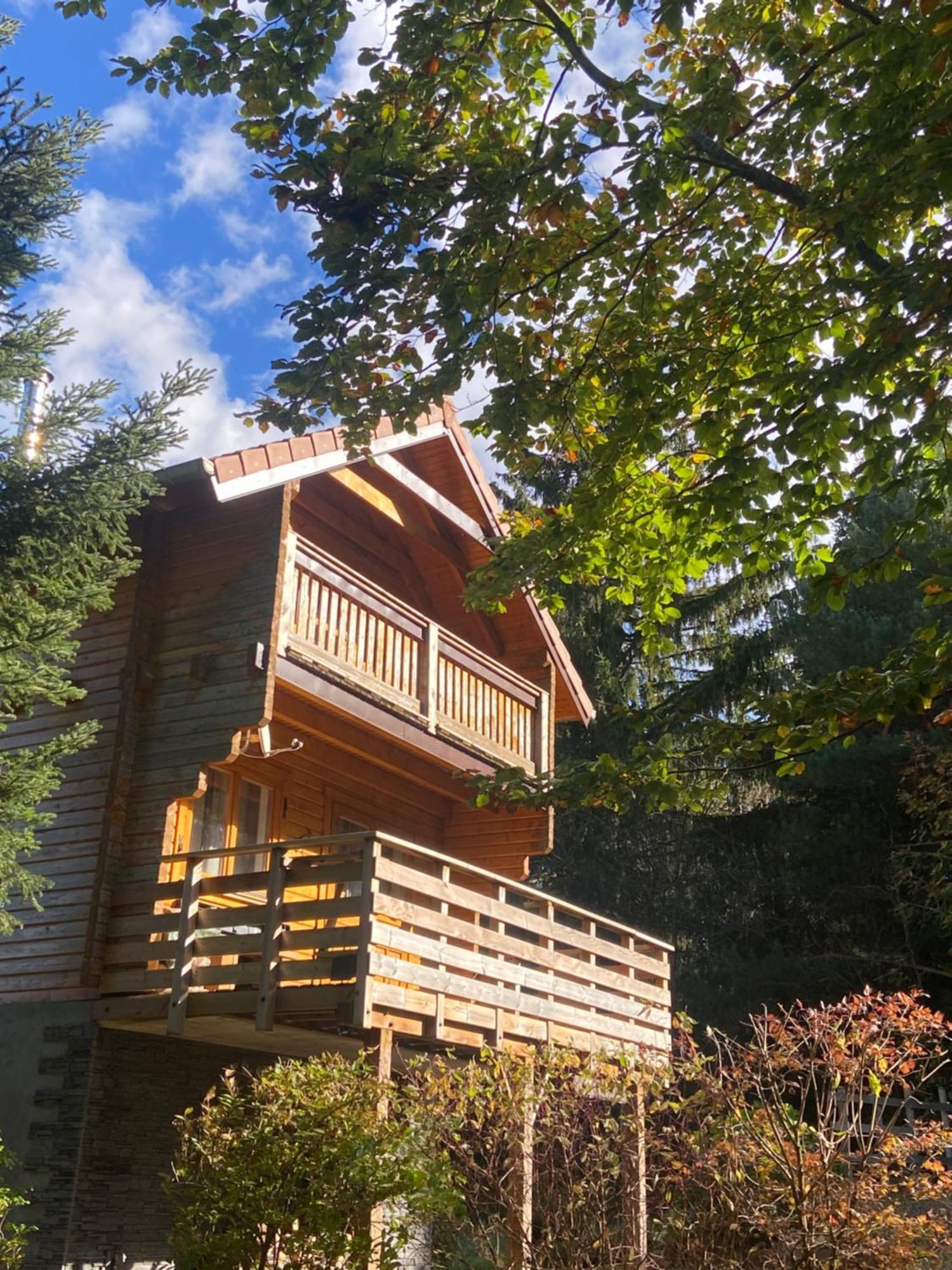 Chalet Authentique Au Calme, En Lisiere De Foret, Montagne, Sentiers 15Mn Gerardmer & Alsace "Chalet Mon Beau Sapin" Anould Екстериор снимка