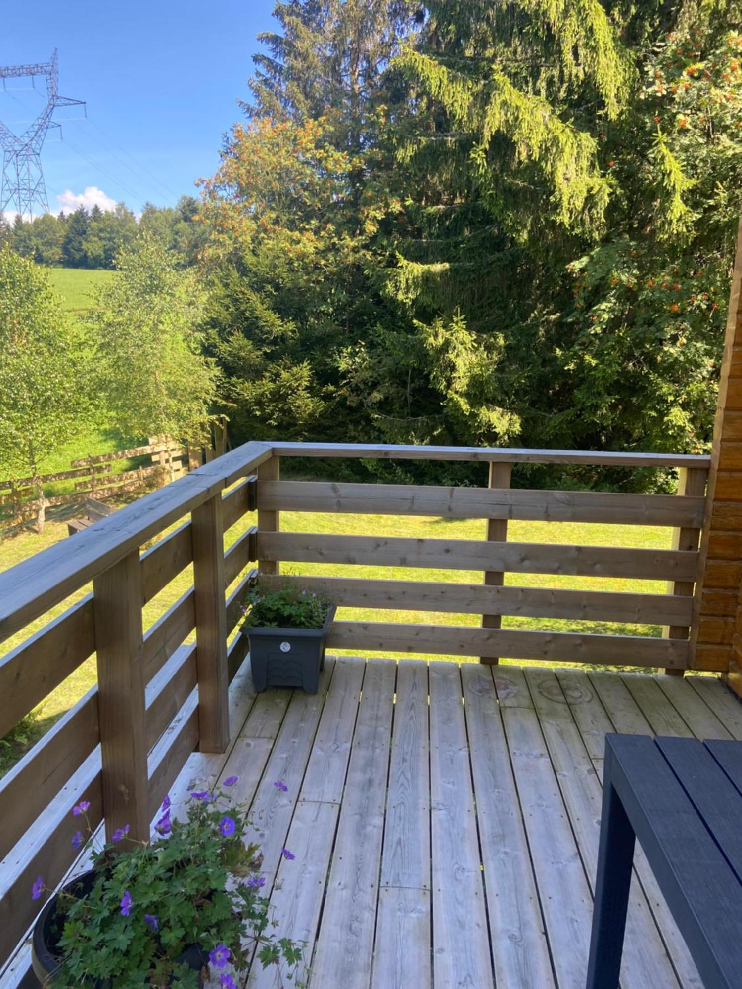 Chalet Authentique Au Calme, En Lisiere De Foret, Montagne, Sentiers 15Mn Gerardmer & Alsace "Chalet Mon Beau Sapin" Anould Екстериор снимка