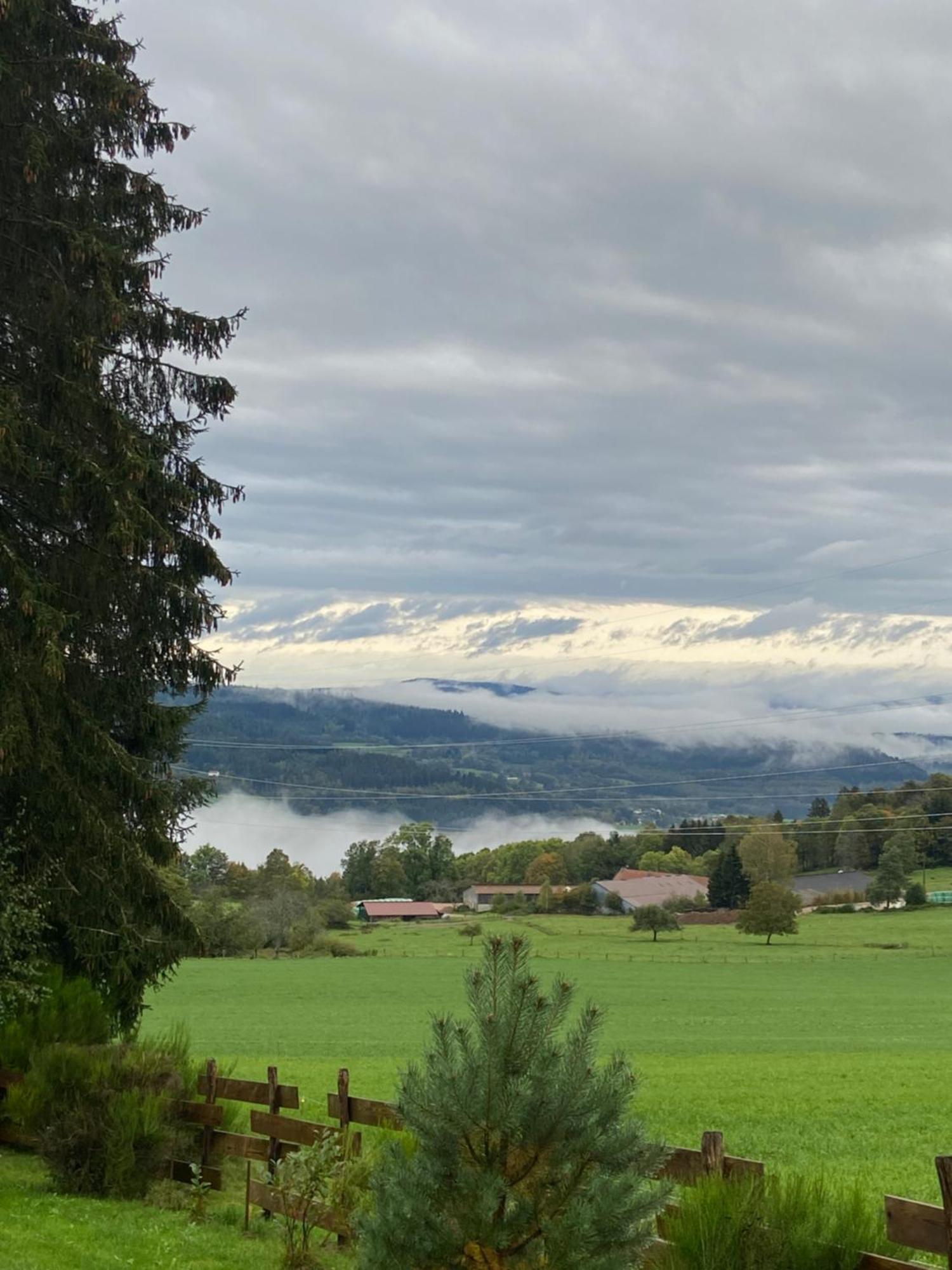 Chalet Authentique Au Calme, En Lisiere De Foret, Montagne, Sentiers 15Mn Gerardmer & Alsace "Chalet Mon Beau Sapin" Anould Екстериор снимка