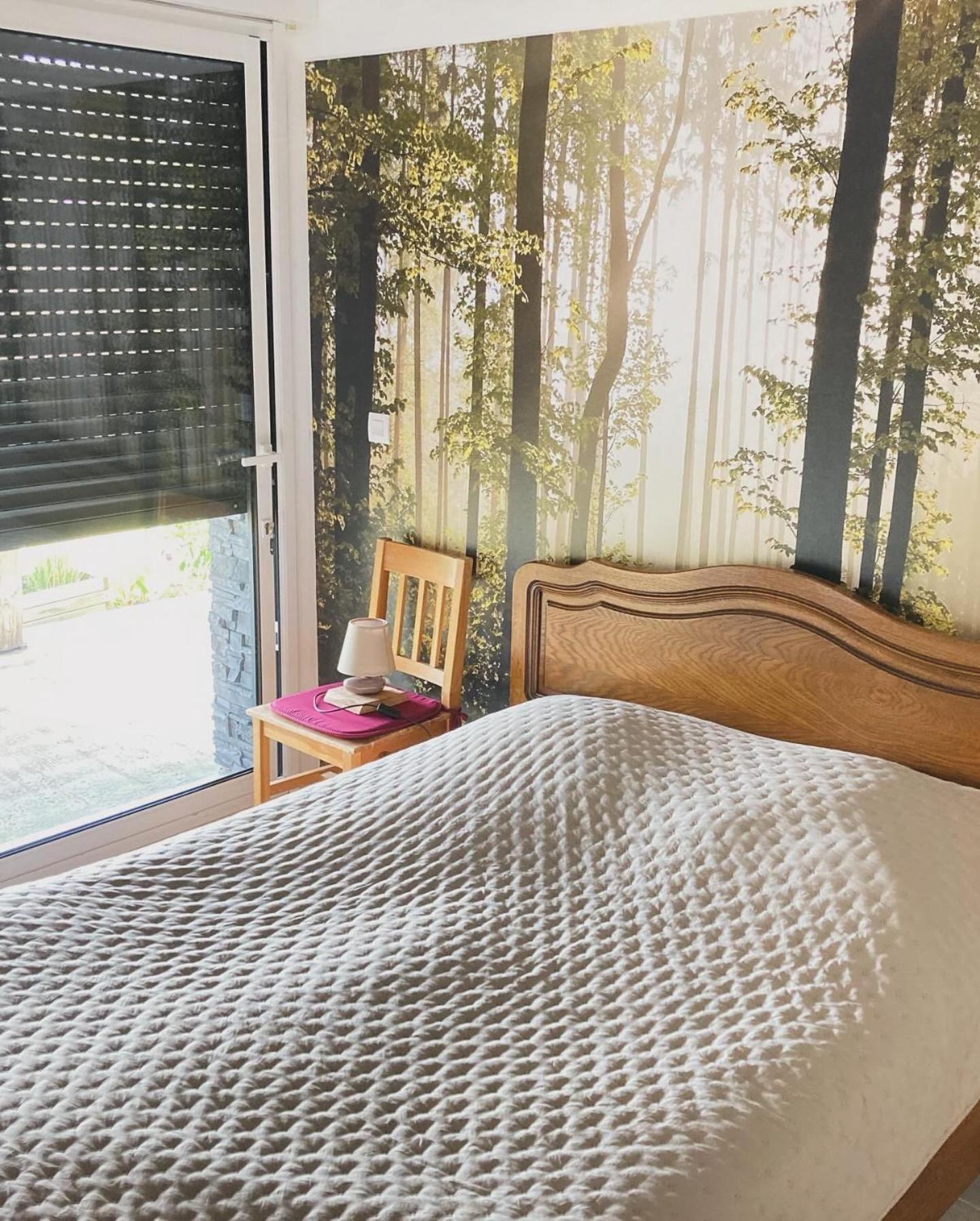 Chalet Authentique Au Calme, En Lisiere De Foret, Montagne, Sentiers 15Mn Gerardmer & Alsace "Chalet Mon Beau Sapin" Anould Екстериор снимка