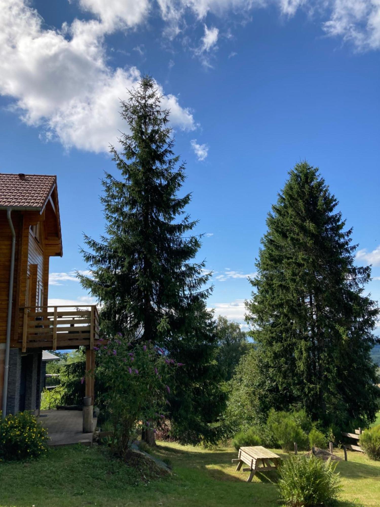 Chalet Authentique Au Calme, En Lisiere De Foret, Montagne, Sentiers 15Mn Gerardmer & Alsace "Chalet Mon Beau Sapin" Anould Екстериор снимка