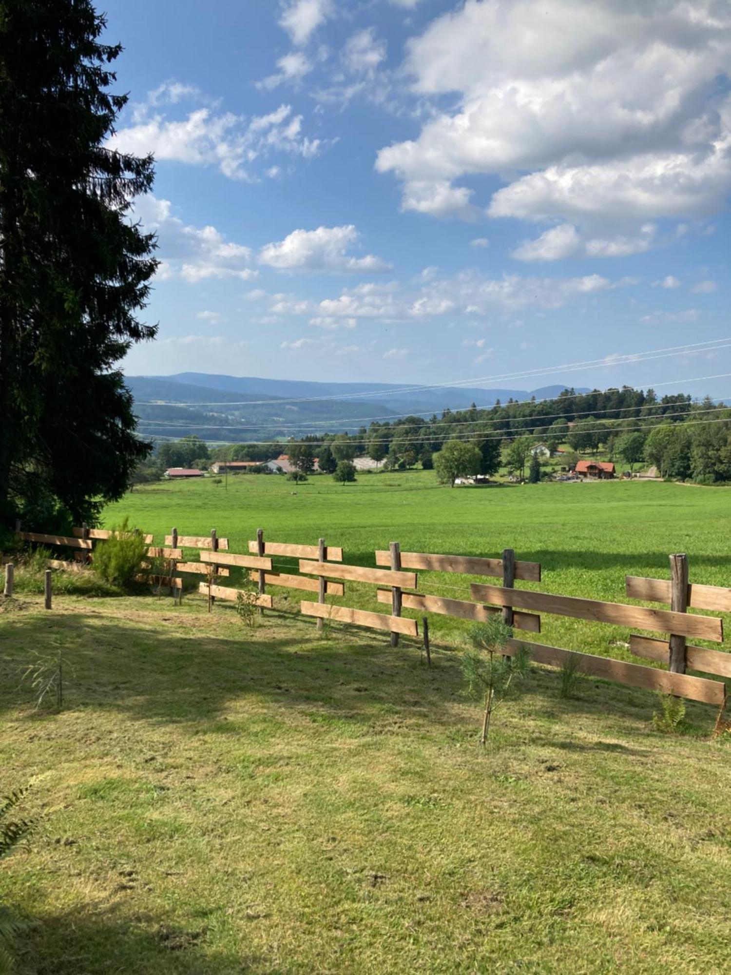 Chalet Authentique Au Calme, En Lisiere De Foret, Montagne, Sentiers 15Mn Gerardmer & Alsace "Chalet Mon Beau Sapin" Anould Екстериор снимка