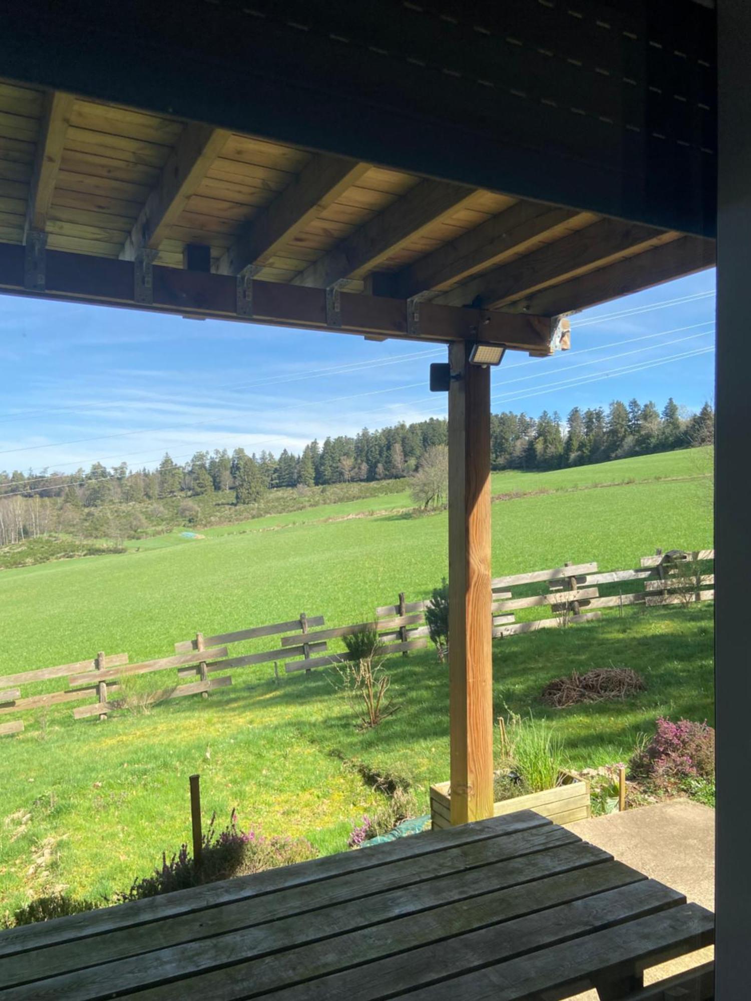 Chalet Authentique Au Calme, En Lisiere De Foret, Montagne, Sentiers 15Mn Gerardmer & Alsace "Chalet Mon Beau Sapin" Anould Екстериор снимка