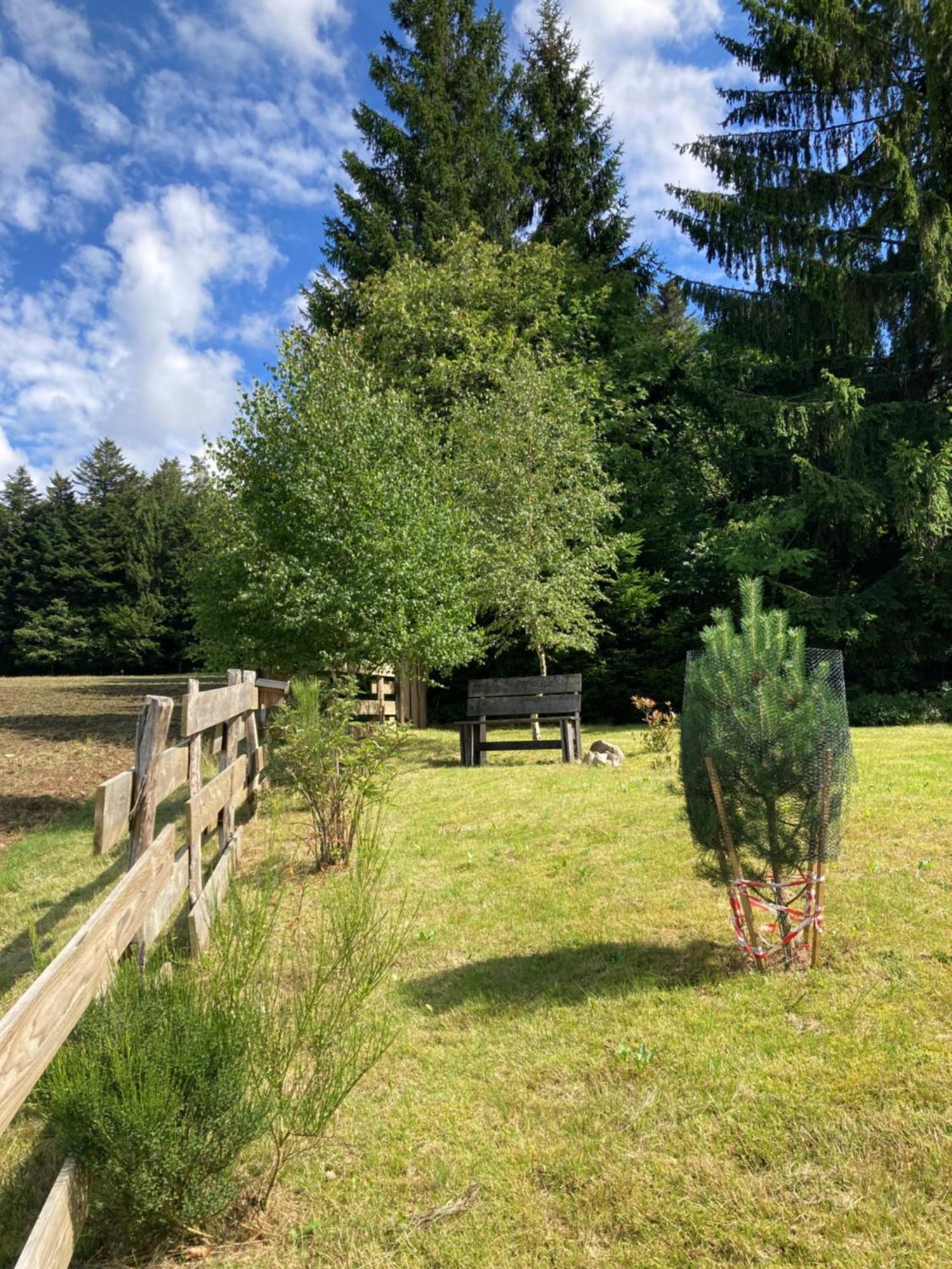 Chalet Authentique Au Calme, En Lisiere De Foret, Montagne, Sentiers 15Mn Gerardmer & Alsace "Chalet Mon Beau Sapin" Anould Екстериор снимка
