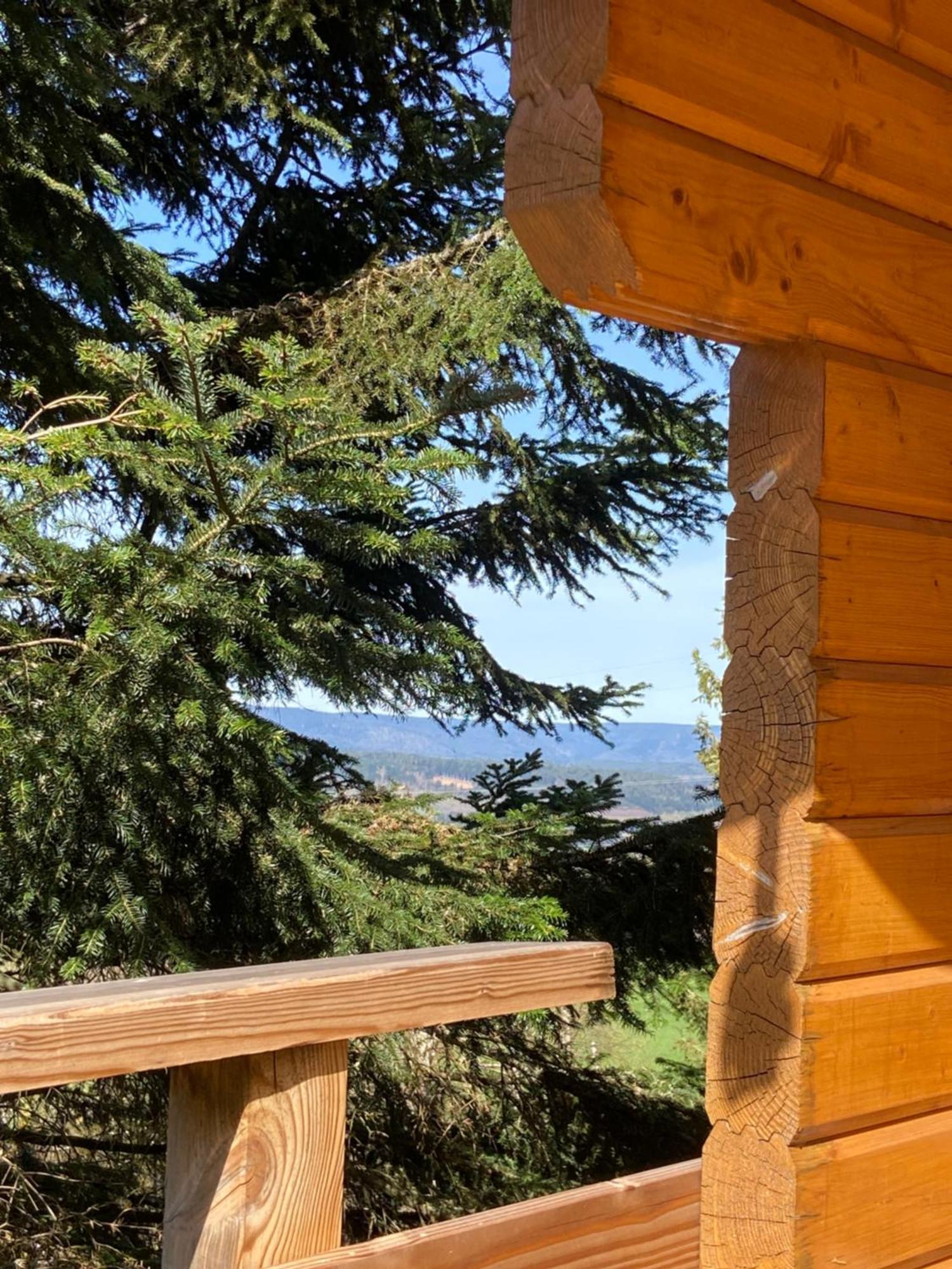 Chalet Authentique Au Calme, En Lisiere De Foret, Montagne, Sentiers 15Mn Gerardmer & Alsace "Chalet Mon Beau Sapin" Anould Екстериор снимка