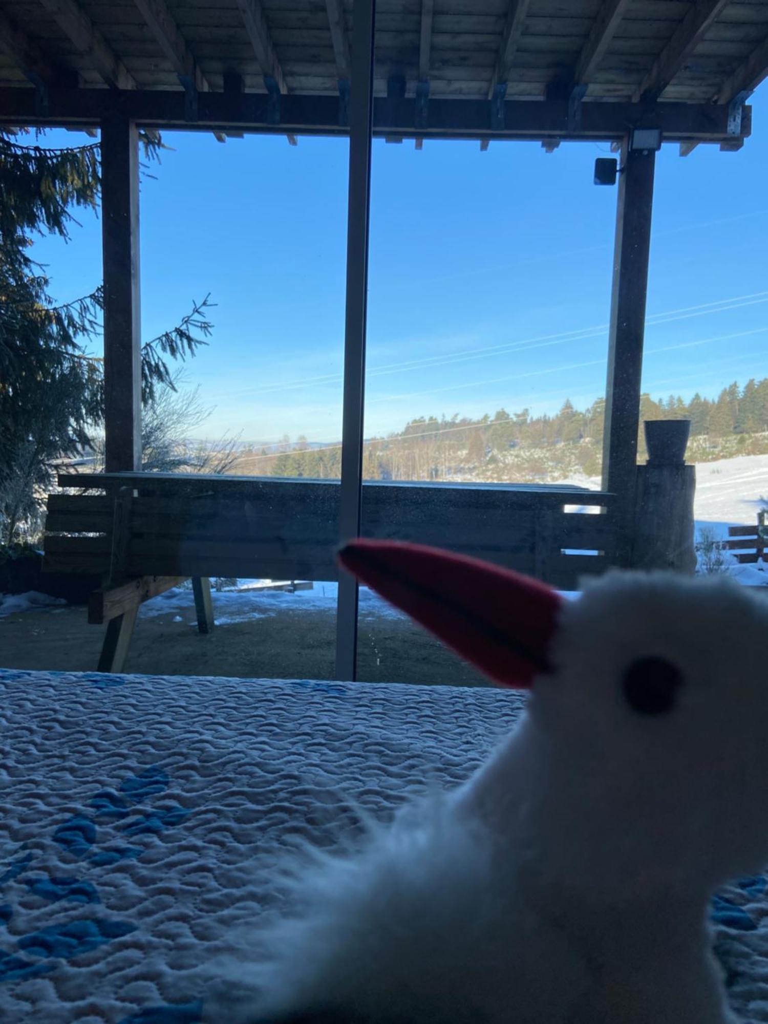 Chalet Authentique Au Calme, En Lisiere De Foret, Montagne, Sentiers 15Mn Gerardmer & Alsace "Chalet Mon Beau Sapin" Anould Екстериор снимка