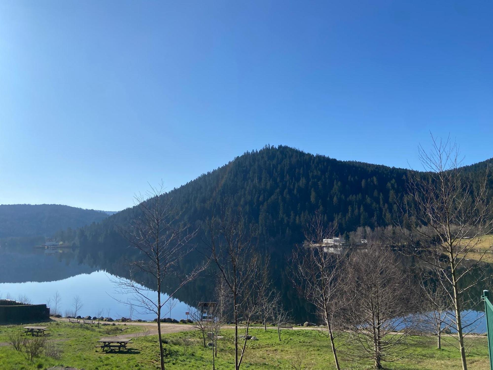 Chalet Authentique Au Calme, En Lisiere De Foret, Montagne, Sentiers 15Mn Gerardmer & Alsace "Chalet Mon Beau Sapin" Anould Екстериор снимка