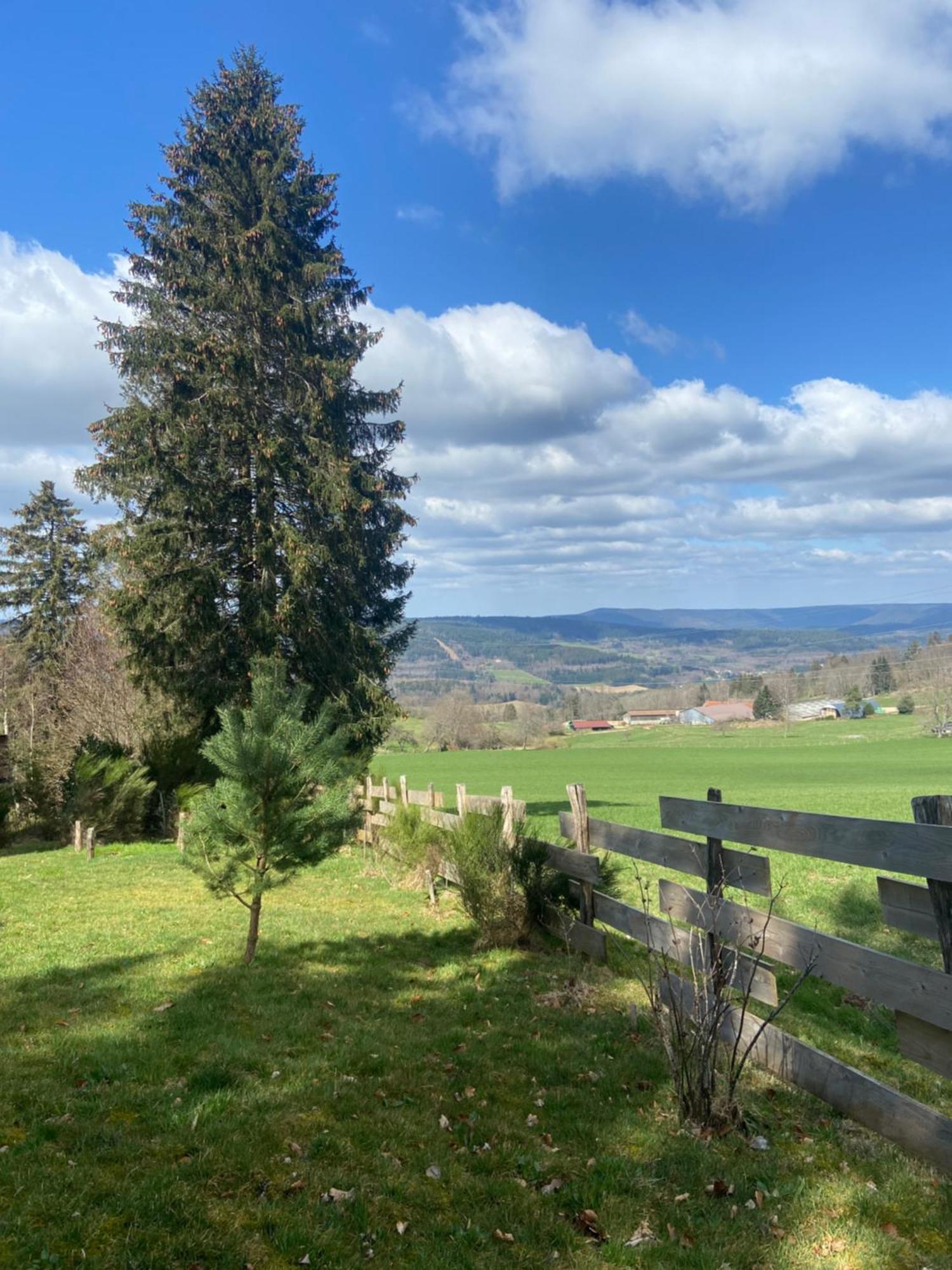 Chalet Authentique Au Calme, En Lisiere De Foret, Montagne, Sentiers 15Mn Gerardmer & Alsace "Chalet Mon Beau Sapin" Anould Екстериор снимка
