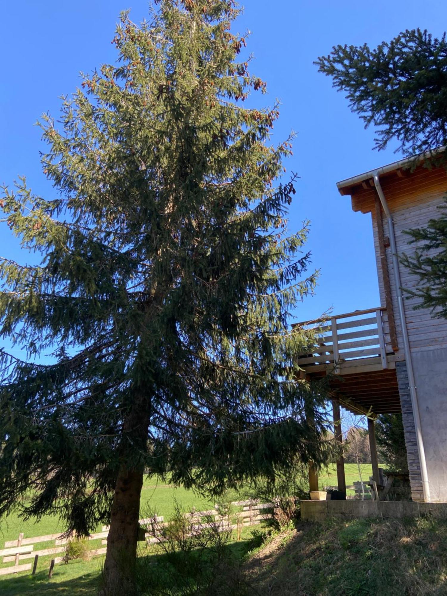 Chalet Authentique Au Calme, En Lisiere De Foret, Montagne, Sentiers 15Mn Gerardmer & Alsace "Chalet Mon Beau Sapin" Anould Екстериор снимка