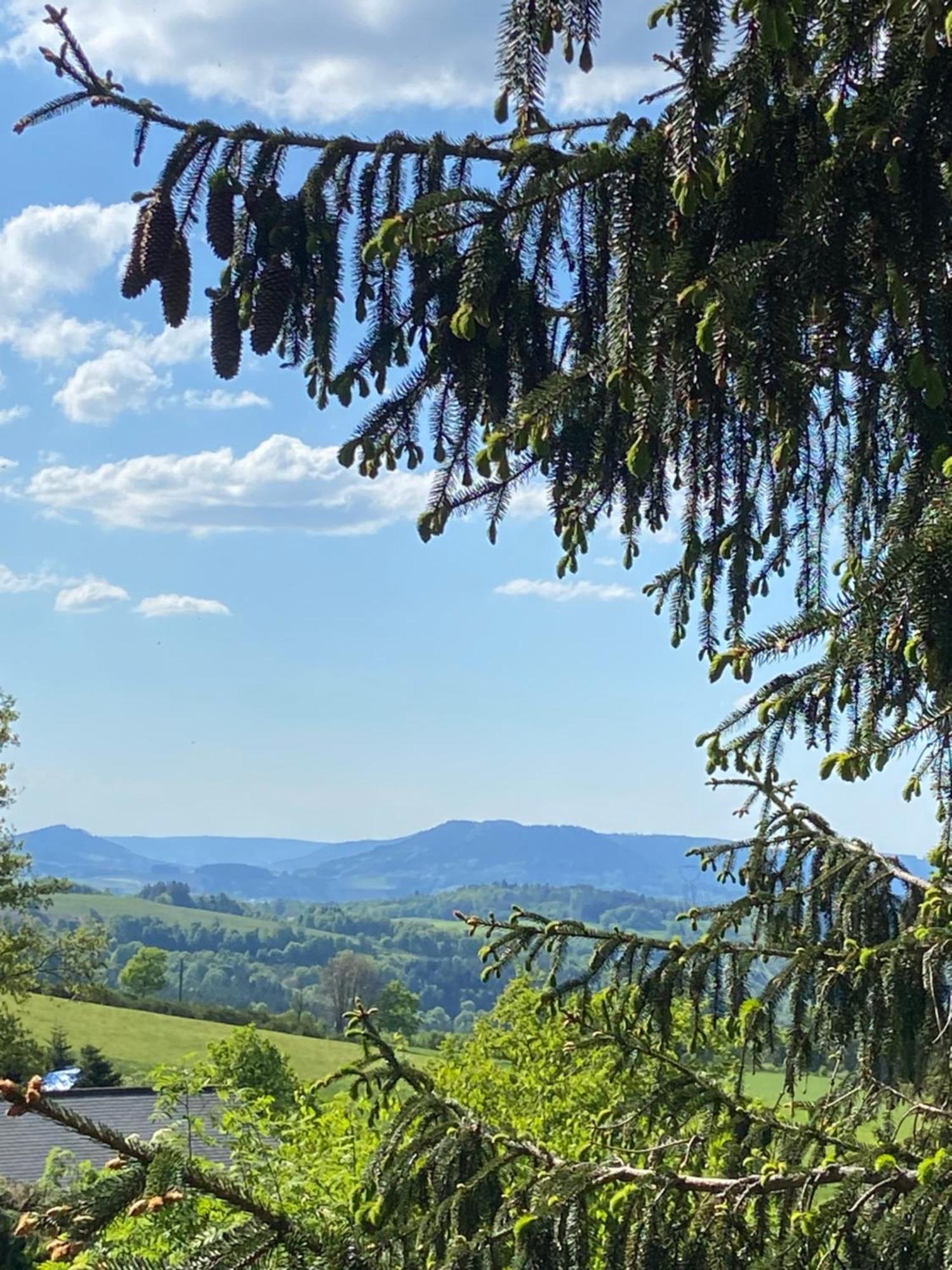 Chalet Authentique Au Calme, En Lisiere De Foret, Montagne, Sentiers 15Mn Gerardmer & Alsace "Chalet Mon Beau Sapin" Anould Екстериор снимка